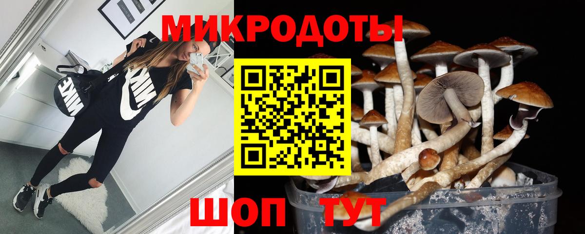 Галлюциногенные грибы Cubensis Топки